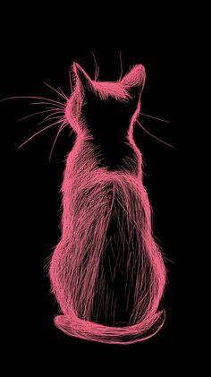 桃粉线描猫